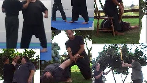 DEMO of Complete SELF DEFENCE and Basic Martial Arts techniques for everyone