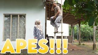 APES !!! 😥 | PAK BHABIN | POLISI MOTRET