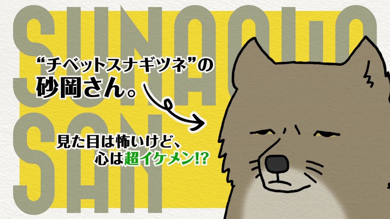 見た目は怖いけど 心は超イケメン 糸井重里も推薦のtwitterで話題の作品がついに書籍化 チベットスナギツネ の砂岡さん 11月30日発売 株式会社kadokawaのプレスリリース