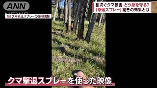 相次ぐクマ被害 どう身を守る?　需要急増「撃退スプレー」効果は(2023年10月25日)