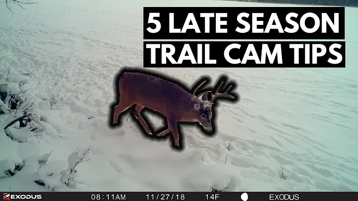 5 Late Season Trail Camera Tips | Deer Hunting