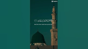 Surah ar rahman ayat 1-13   سورة الرحمن اية ١-١٣