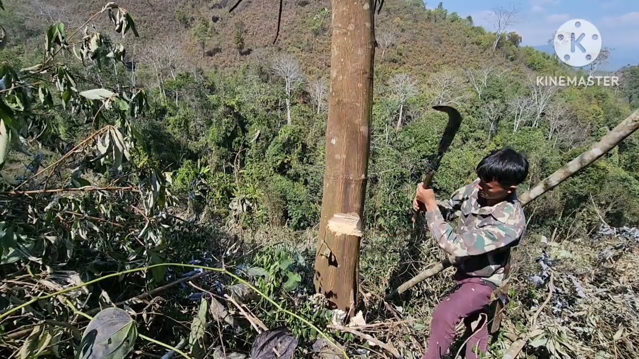 Sab kawg kiag li os lub neej ua teb os 15/2/2026