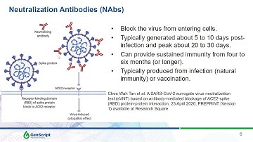 Measuring levels of SARS-CoV-2 neutralizing antibodies in individuals using a high-throughput test