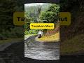 Tanjakan Maut, Hati-hati guys⁉️#shorts #viralvideo