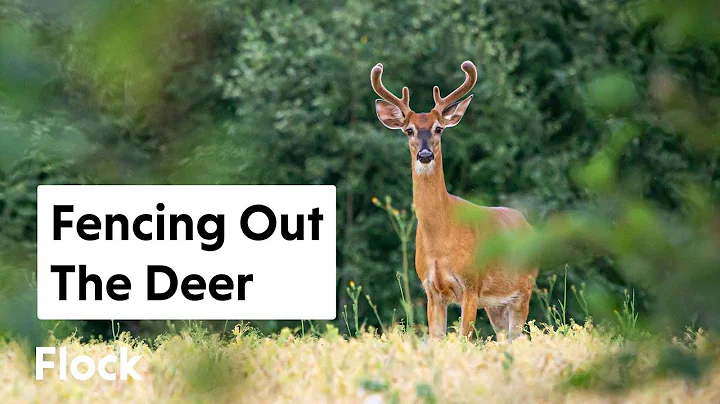 A FOREST Without DEER BROWSE — Ep. 045 - DayDayNews