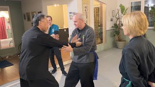 Arts Martiaux Internes - Xingyi Quan - Tui Shou Poussée Des Mains En Application