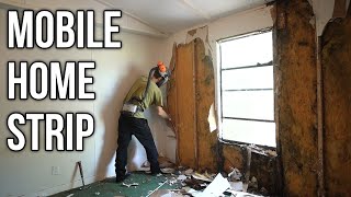 Gutting it Down to the Studs - 1984 Mobile Home Rot and Mold Found