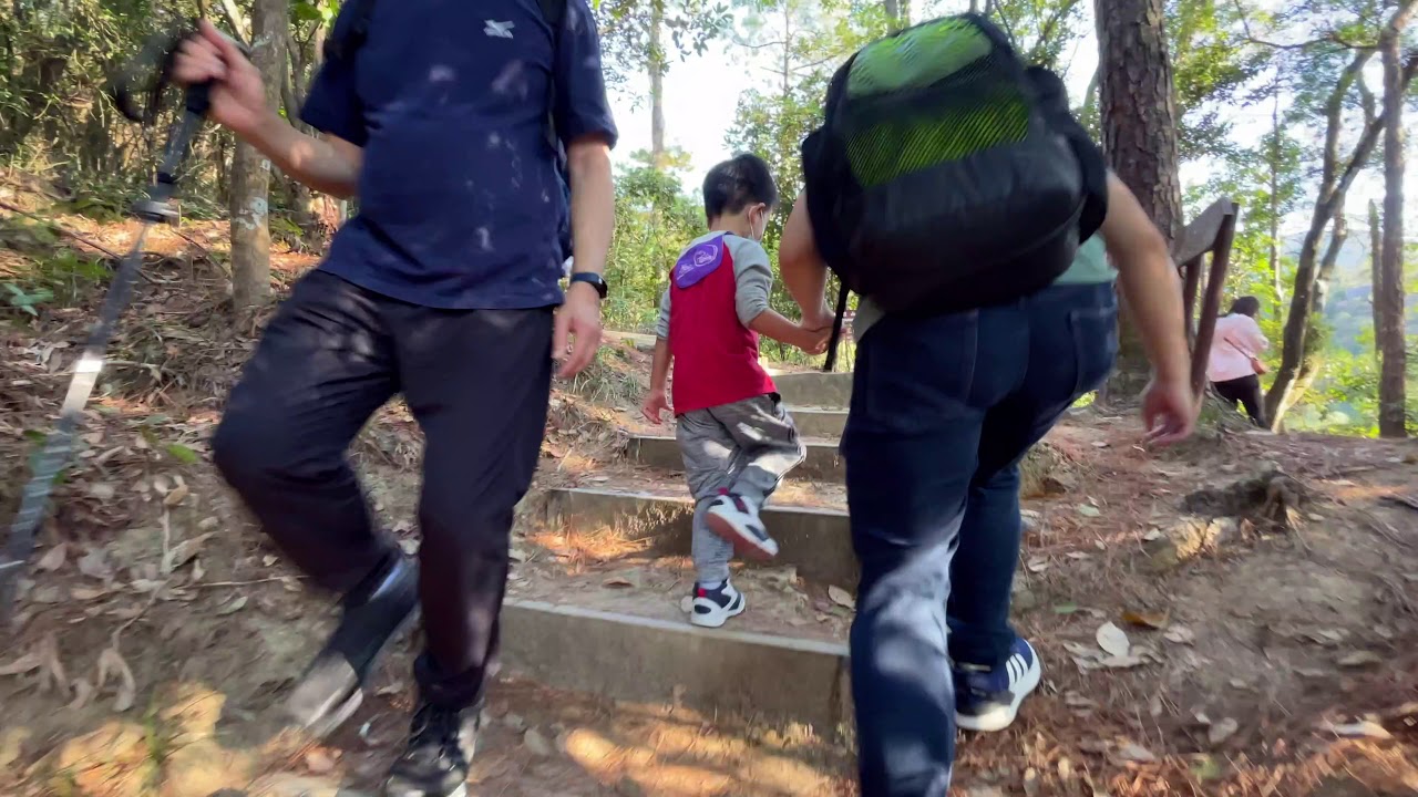 Tai Tam Country Park (Hong Kong Island) - Hike With Me (4k)