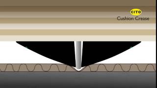 Cito - Cushion Crease