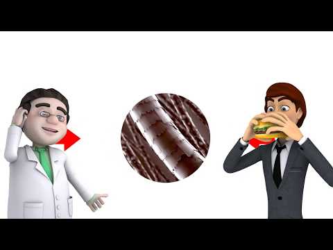 中文版-mandarin-medicpro-epigenetic-optimise-test-overview