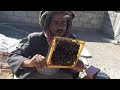 تربية النحل والعسل في اليمن تربية النحل والعسل في اليمن