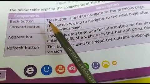 Grade 4th Chapter 5th (The Internet-Web Browser) Part-5