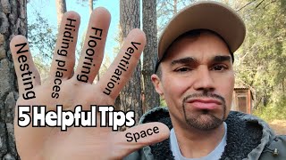 5 Random Tips For Housing Ornamental Pheasants