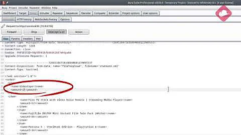 OWASP TOP 10 - XML External Entities / Security Misconfiguration