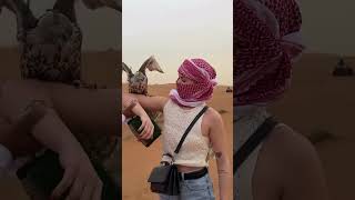 Dubai Desert Safari | Dune Bashing, Camel Ride, BBQ Dinner & Live Shows | Arabian Knight Travel