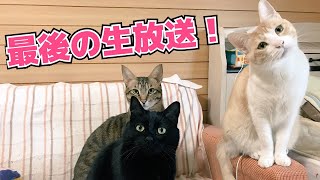 実家から最後の生放送さよならとは言わないぞ