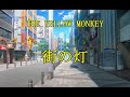 【音源】THE YELLOW MONKEY / 街の灯