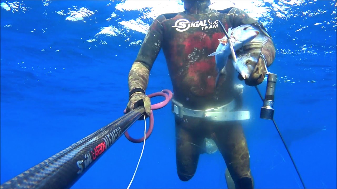 PAGRO 5,1kg  spearfishing : TEAM SIGAL CARBONIOGFT GIUSEPPE LOMBARDO