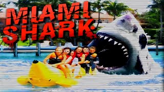 Miami Shark taking down helicopter music