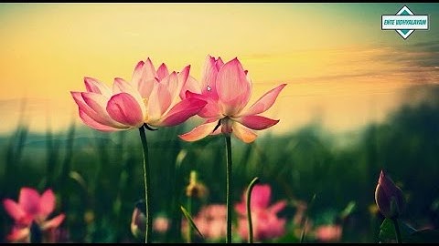 How to host your website for free (Malayalam Tutorial)