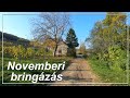 Novemberi bringázás a Nagyharsány-Villányi borvidéken