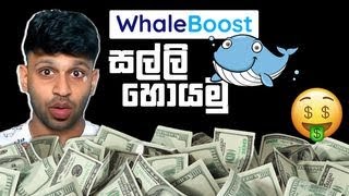 Maniya whale boost | Whaleboost scam Deleted video #ManiYa @ManiYaStreams