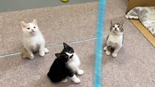 夜のシェルター保育園より生配信