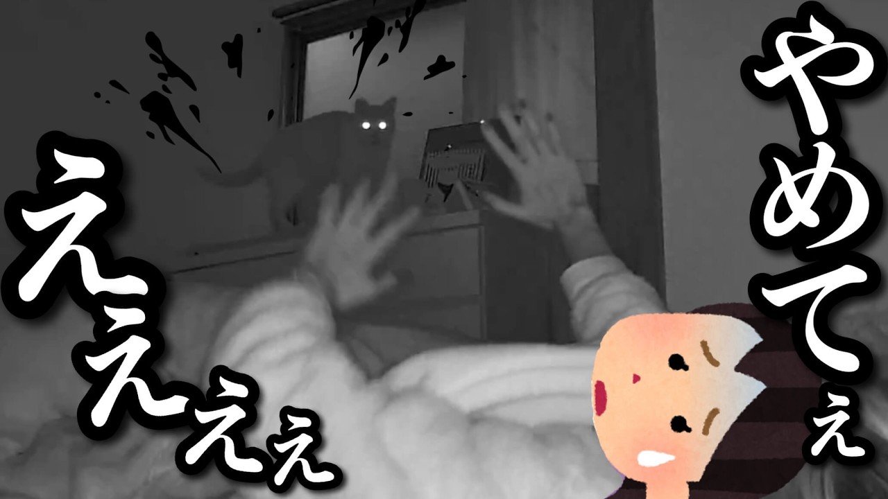 【寝不足】早朝から起こしてくる猫との攻防戦