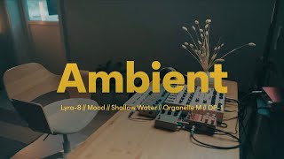 Ambient session w/ Lyra-8 // Organelle M // OP-1