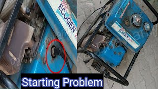 ecogen 2000 | birla yamaha generator repair