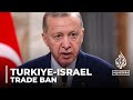 Turkiye-Israel trade: Turkish president cuts trade ties worth $9.5b