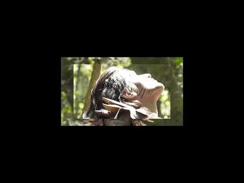 Brisa Flow - Fique Viva (teaser)