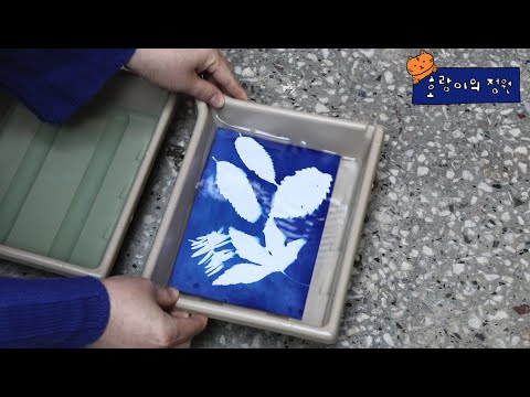 시아노타입 키트 사용법 청사진 만드는 방법 How To Use Cyanotype Kit Blue Print 