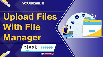 How to Upload Files via The Plesk File Manager | YouStable