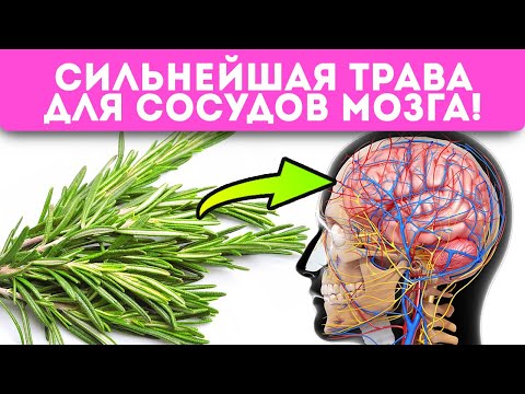 Видео: Цвете розмарин: описание, характеристики на отглеждане у дома, полезни свойства