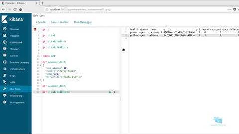 16-Tutorial Elastic Search: Comprobar el estado del indice