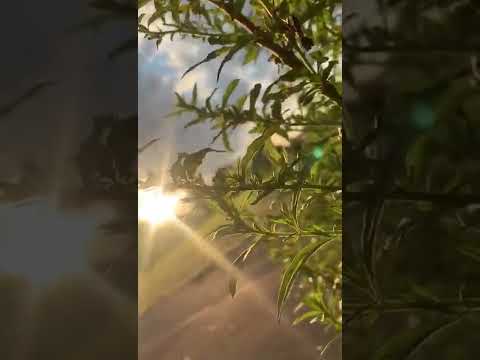 الله م العوض لكل شعور هز القلب وأتعبه