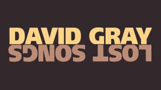 Video thumbnail of "David Gray - "Hold On""