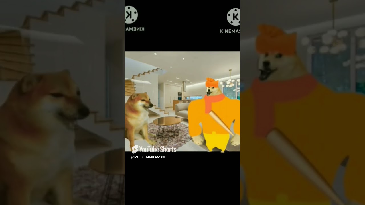 cheems dog funny meme 