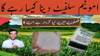 ammonium sulfate for crops|role of ammonium sulfate|facts daily