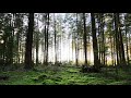 Al Fikr Video 1 Motivational Al Fikr Video 1 Motivational
