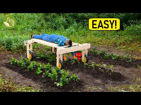 Genius Garden Hack: Grow $100 of Food in One Tiny Garden 🌱