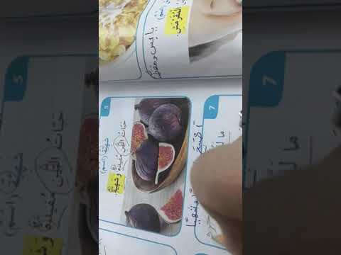 قصة مسعودة الس لحفاة للصف الثاني