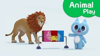 Learn colors with Miniforce | Match Animal Blocks | Lion | Words play | Mini-Pang TV 3D Play