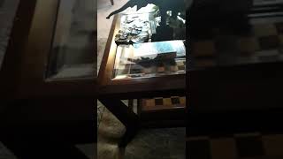 Checking On Michelle