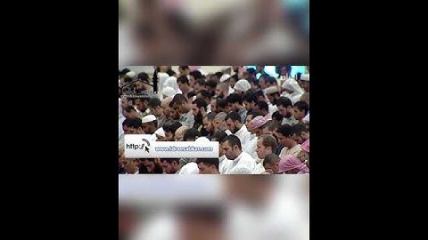 القارئ: إدريس أبكر ، تلاوة تخشع لها النفوس ﴿بديع السماوات والأرض﴾