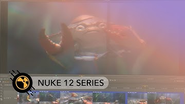 Nuke 12.0 | Playback Performance