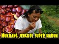 MUKBANG JENGKOL HASIL ALAM