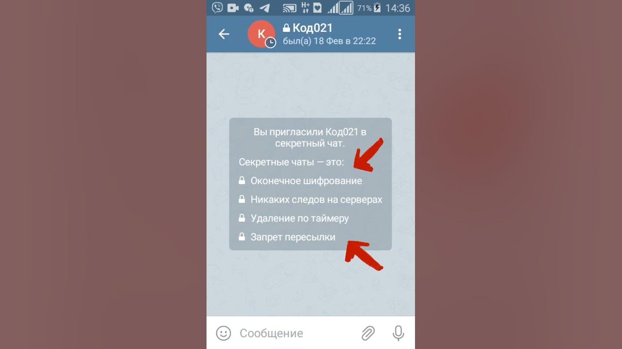 Секретные телеграм канал. Секретные чаты в Telegram. Секретки в телеграмме. Секретные фишки телеграмма. Скрытые функции телеграмма в чате.